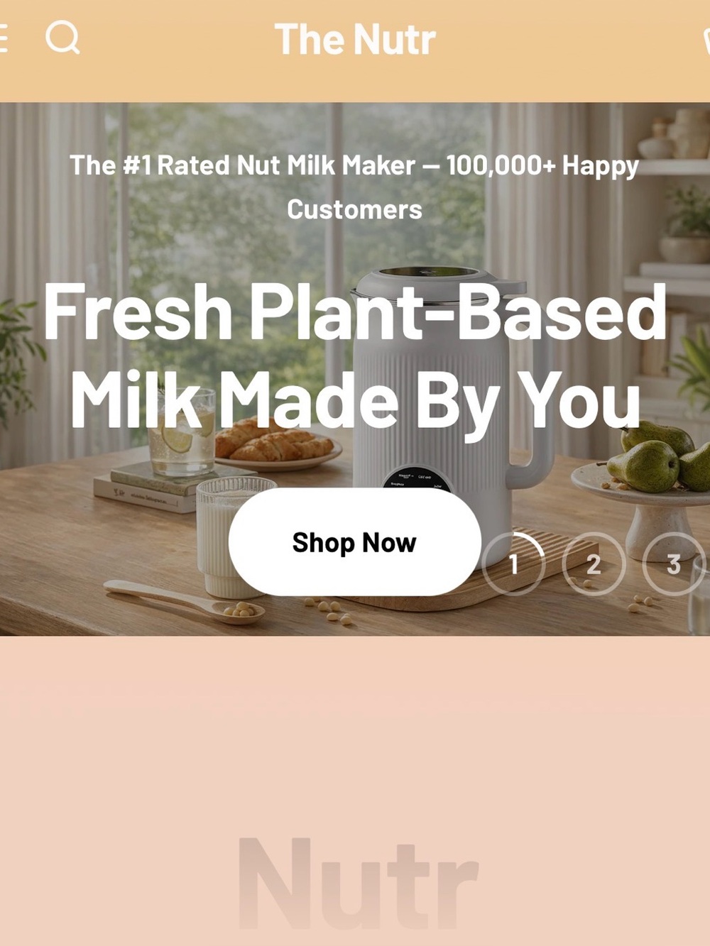 NIB NUTR home nut milk maker, kitchen